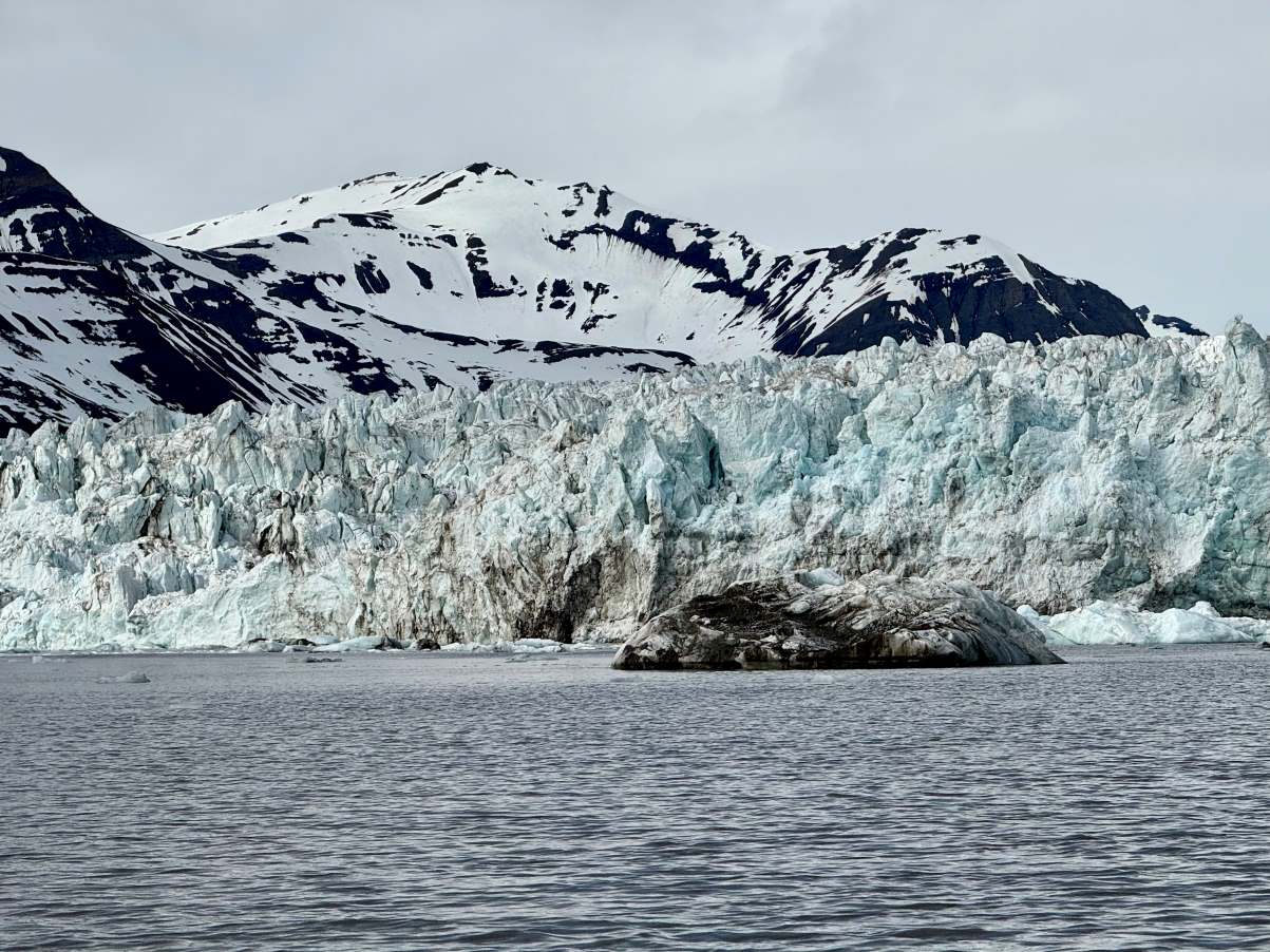 Arctic