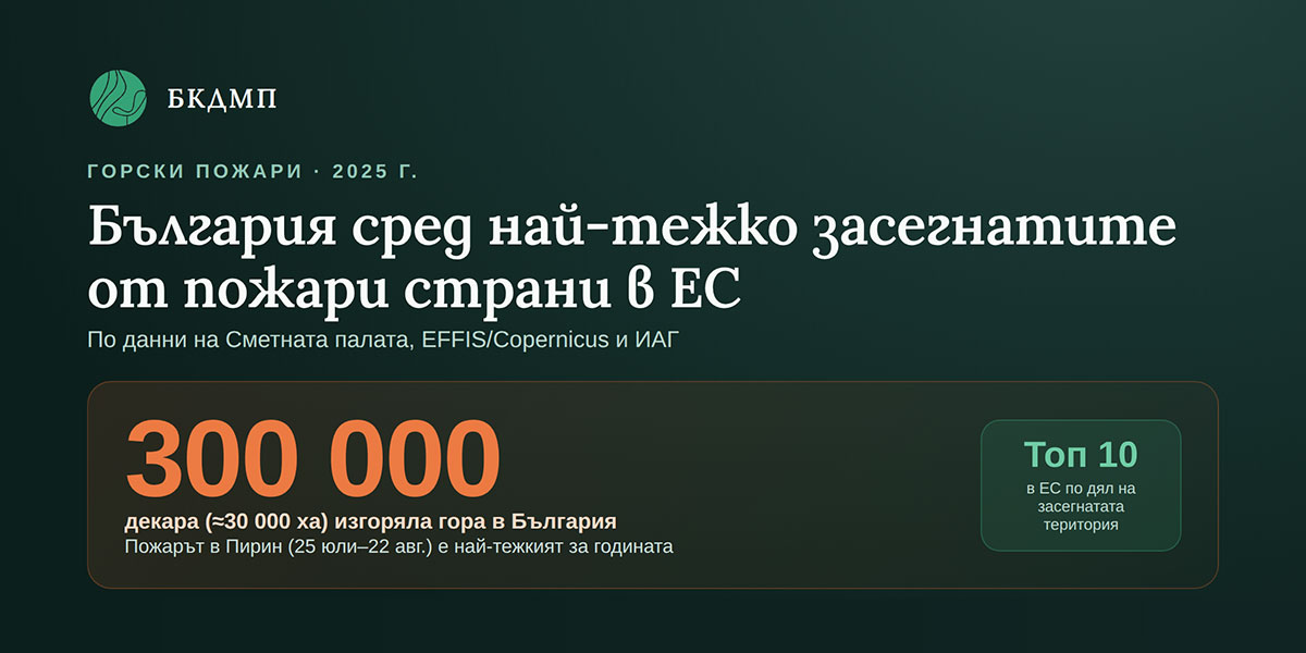 Gorski pojari