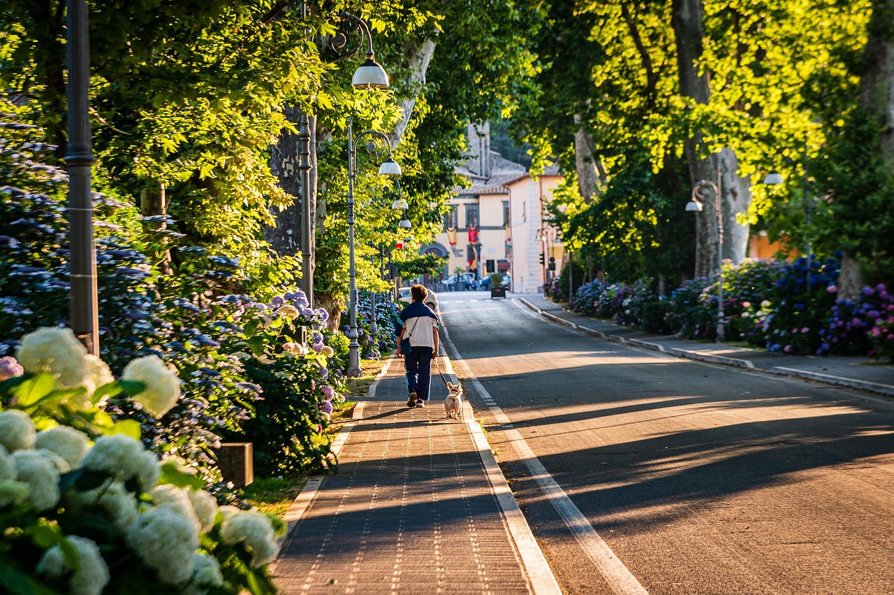 Martinophuc street 8531779
