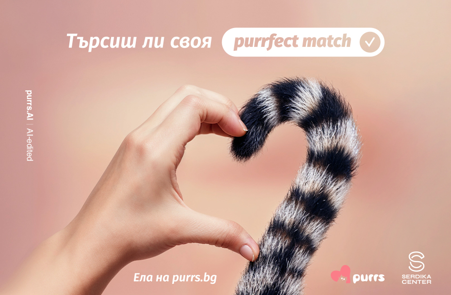 Purrs Serdica Perfect Match (2)